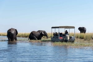 Depuis Livingstone et les chutes Victoria : Combo Rafting et Safari