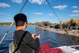 Z Livingstone i Wodospadów Wiktorii: Rafting i Safari Combo