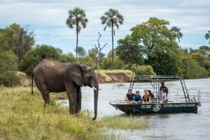 From Livingstone: Victoria Falls River Safari