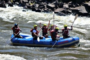 From Livingstone & Victoria Falls: Zambezi Half-Day Rafting