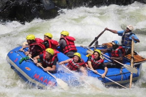 From Livingstone: Zambezi Full-Day Whitewater Rafting Tour