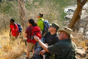 Au départ de Victoria Falls : Randonnée à Batoka et visite du village de Ndebele