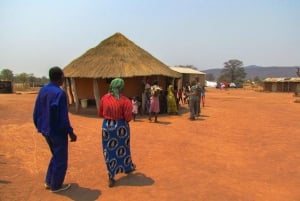 Au départ de Victoria Falls : Randonnée à Batoka et visite du village de Ndebele