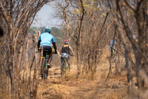 Au départ de Victoria Falls : Excursion à bicyclette
