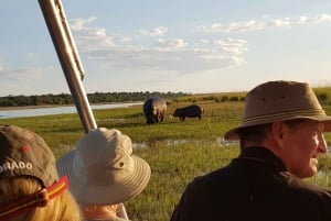 Vanuit Victoria Watervallen: Chobe dagexcursie met lunchbuffet