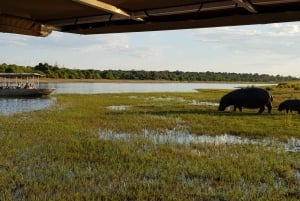 Vanuit Victoria Watervallen: Chobe dagexcursie met lunchbuffet