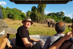 Vanuit Victoria Watervallen: Chobe dagexcursie met lunchbuffet