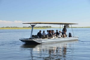 From Victoria Falls Chobe Extended Full Day Safari