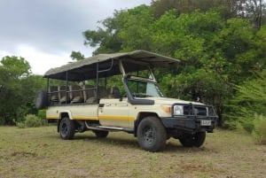Victoria Falls: Chobe National Park Day Trip with Lunch