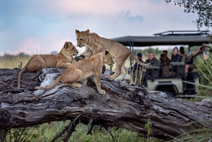 Чобе и Намибийский остров с обедом (отправление от водопада Виктория)