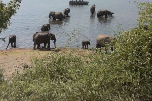 ビクトリアフォールズチョベ国立公園日帰りツアー（昼食付