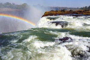 Från Victoria Falls: Livingstone Island Tour & Devils Pool
