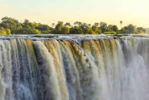 From Victoria Falls: Livingstone Island Tour & Devils Pool