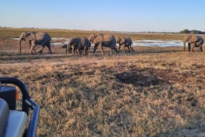 Dalle Cascate Vittoria al Parco Nazionale di Chobe, Avventura Safari