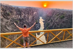 From Victoria Falls: Views of Falls and Bridge Tour