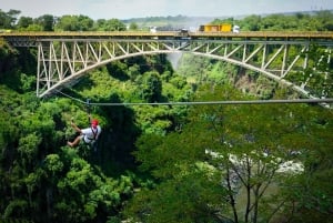 De Victoria Falls: Tirolesa da Ponte das Cataratas Vitória