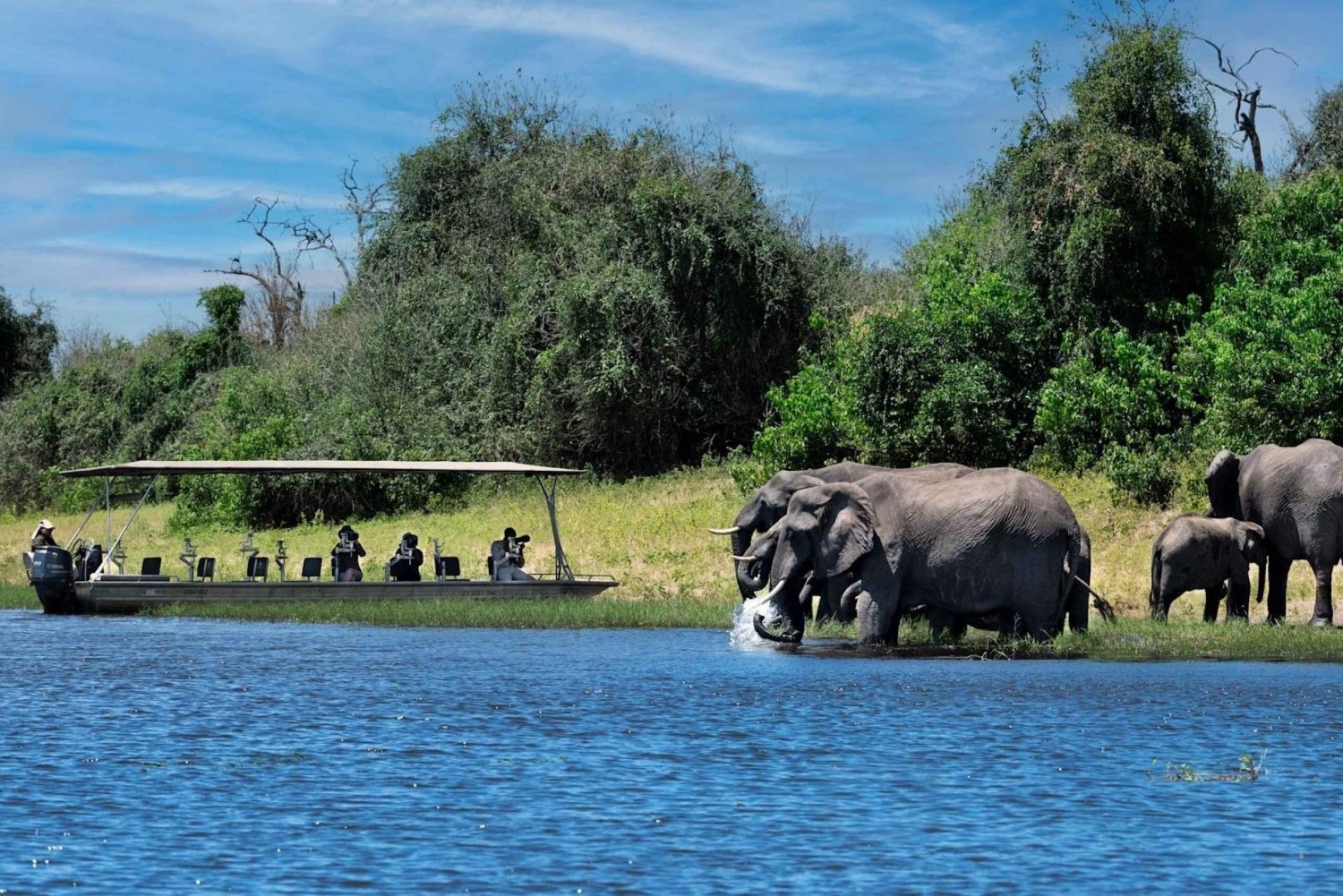 Escursione di un'intera giornata nel Chobe da Livingstone in Zambia