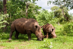 Full Day Chobe Trip From Livingstone Town Zambia