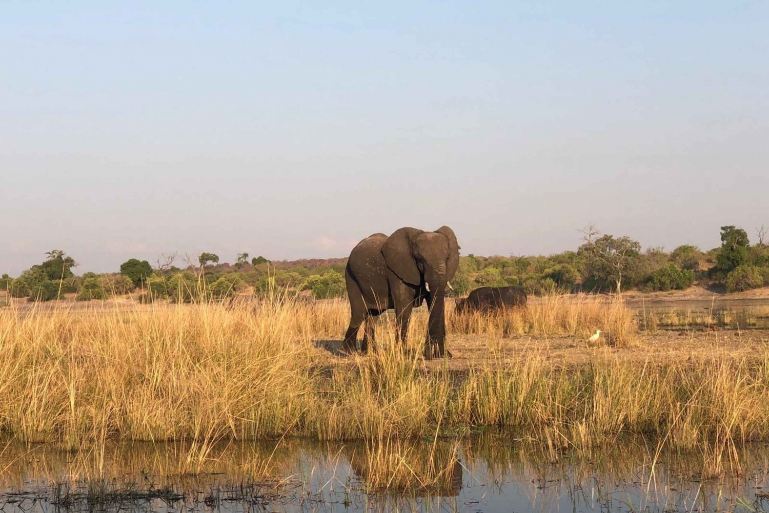 Safari med vildtkørsel og næsehornsvandring