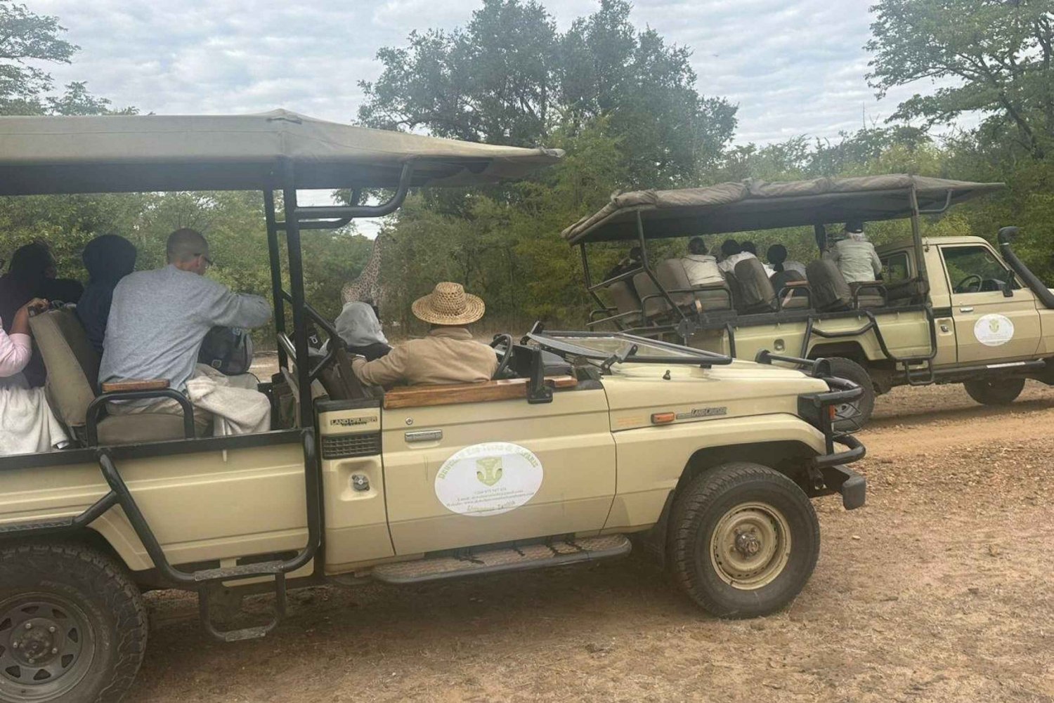 Rhino Safari game drive