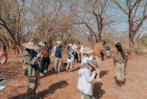 GAME DRIVE AND WHITE RHINO WALKING SAFARI IN LIVINGSTONE