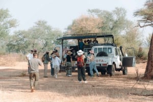 GAME DRIVE AND WHITE RHINO WALKING SAFARI IN LIVINGSTONE