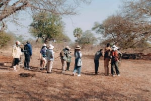 GAME DRIVE AND WHITE RHINO WALKING SAFARI IN LIVINGSTONE