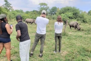 Mosi-oa-Tunya National Park Game Drive in Livingstone