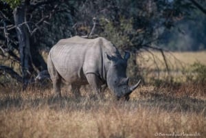 Mosi-oa-Tunya National Park Game Drive in Livingstone