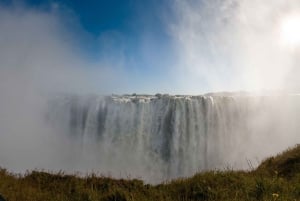 Visite guidée des chutes