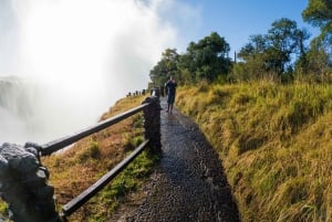 Visite guidée des chutes