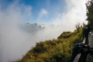 Visite guidée des chutes