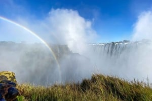 Visite guidée des chutes