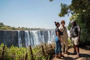 Guided Tour of the Victoria Falls - Scenic Nature Tour [Pvt]