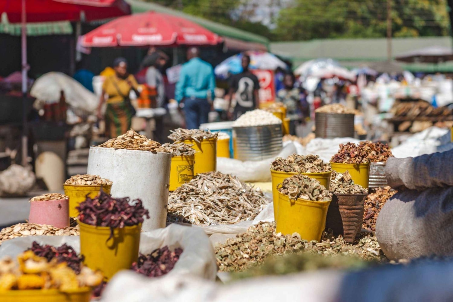 半日フードアドベンチャー（ルサカ）：料理サファリ