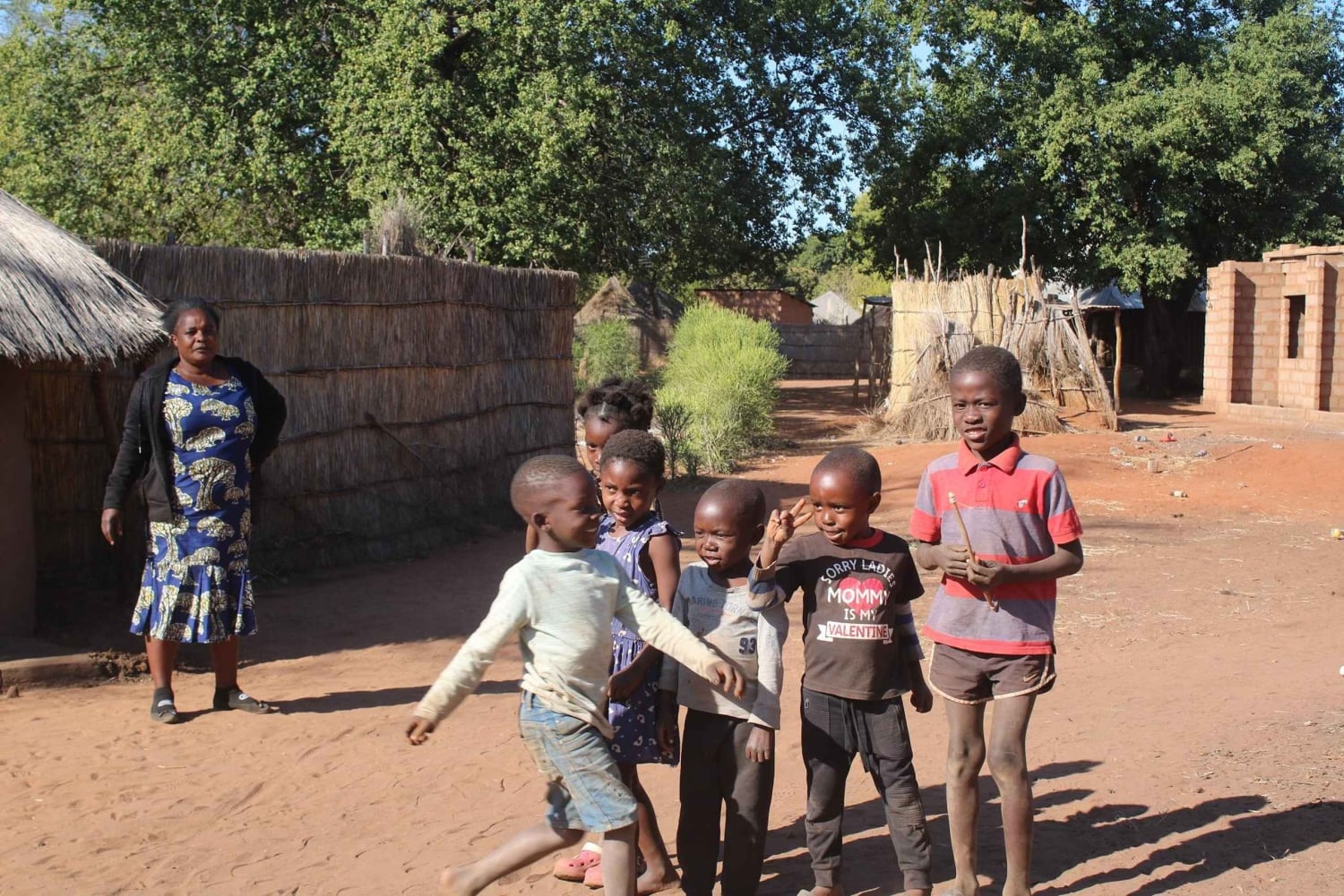 Viagem de 1 dia para Livingstone saindo de Victoria Falls