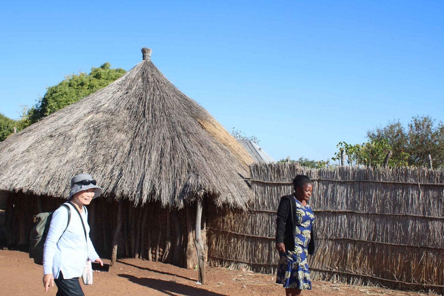 Viagem de 1 dia para Livingstone saindo de Victoria Falls