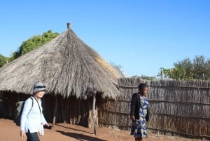 Viagem de 1 dia para Livingstone saindo de Victoria Falls