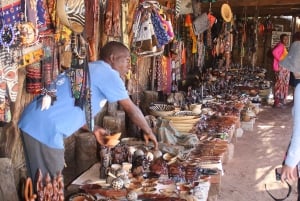 Viagem de 1 dia para Livingstone saindo de Victoria Falls