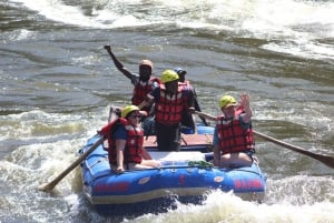 Halvdagsrafting på Zambezi Whitewater Rafting