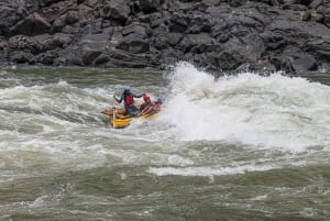 High-Water Zambezi Rafting from Victoria Falls & Livingstone