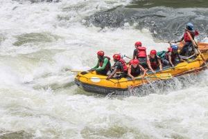 High-Water Zambezi Rafting from Victoria Falls & Livingstone