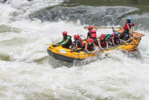 High-Water Zambezi Rafting from Victoria Falls & Livingstone