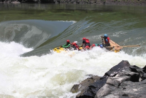 High-Water Zambezi Rafting from Victoria Falls & Livingstone