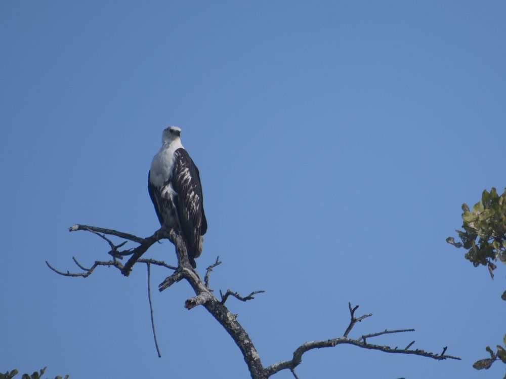 Kafue National Park