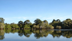 Kafue National Park