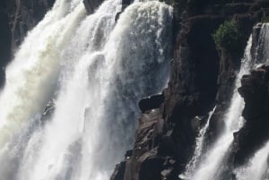 リヴィングストン：2泊のご宿泊とガイド付きツアー4回