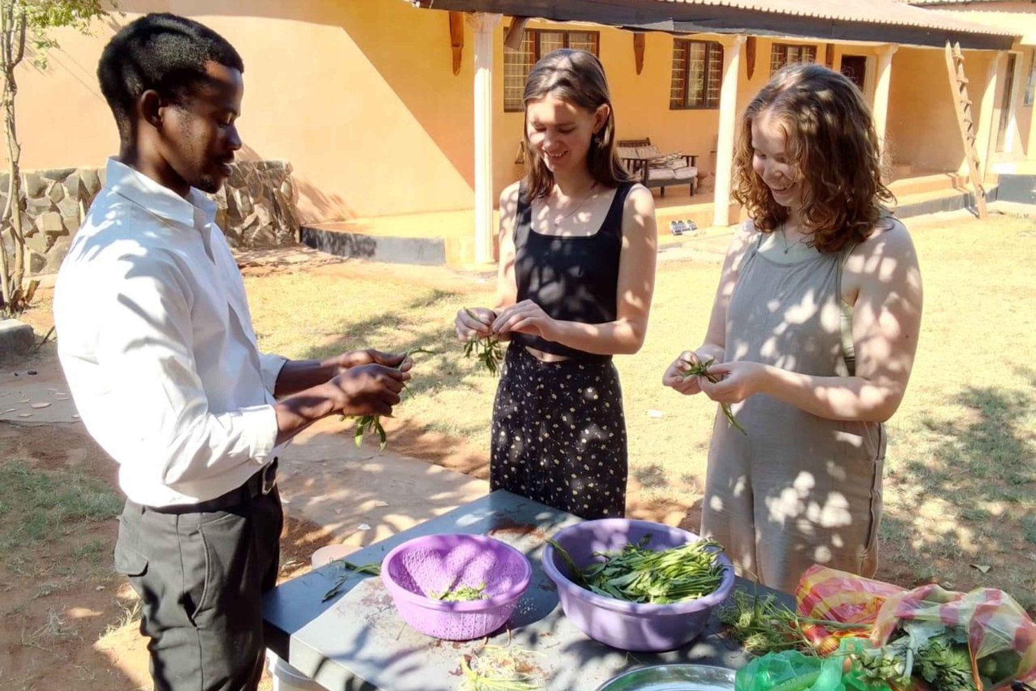 Livingstone: African Foods Cooking Tour with Lunch