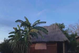 Livingstone: Fantastisk traditionell by- och kanottur