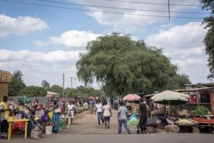 リビングストンの文化と工芸品を発見するツアー
